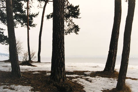 Kontrapunkter (2005) — Hedevig Anker