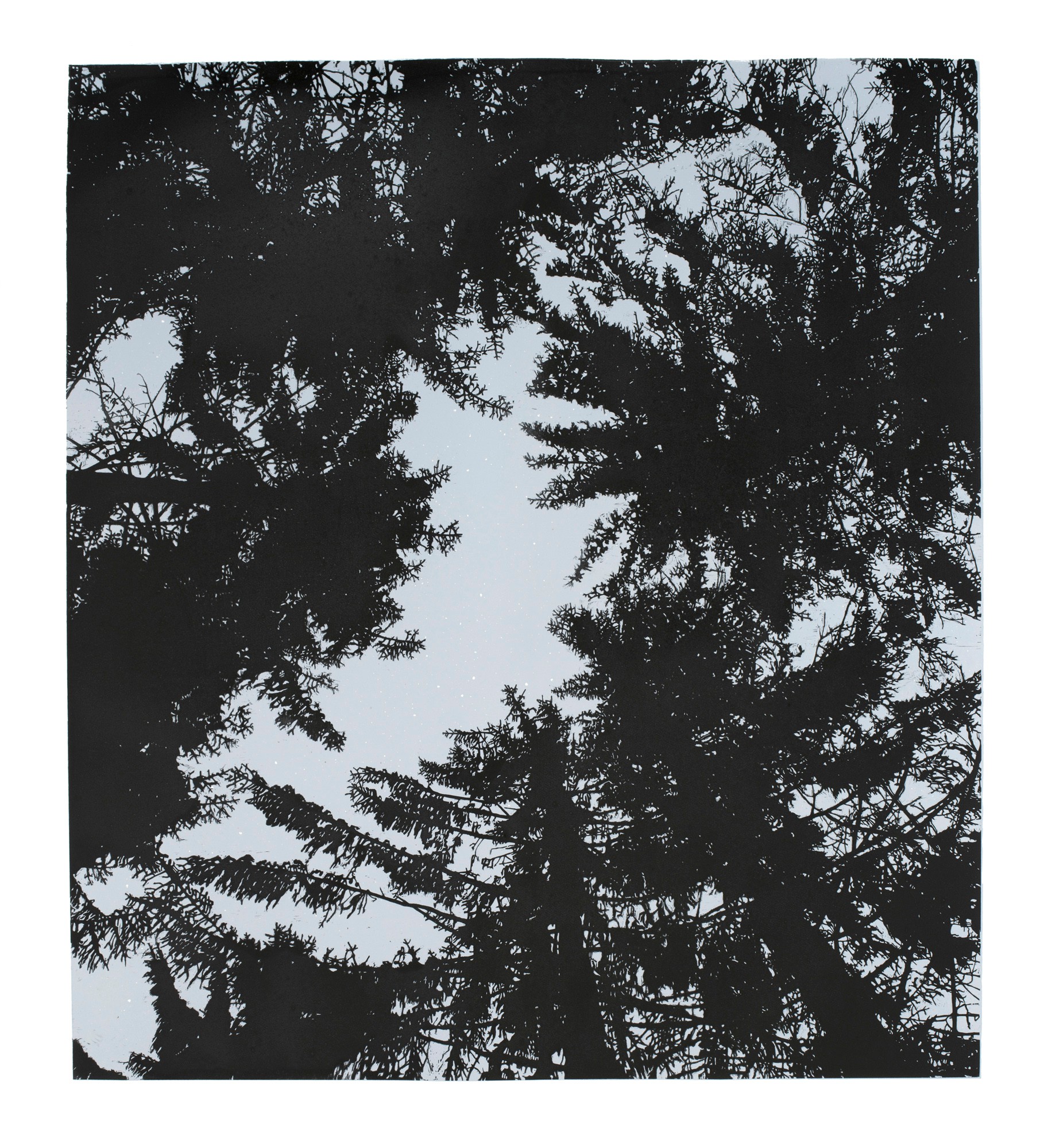 Januar (stjernerne) (2017) — Mattias Härenstam