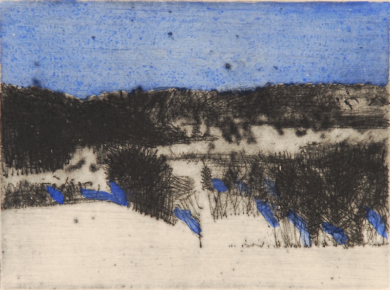 Januar 2007 I (2007) — Odd Skullerud