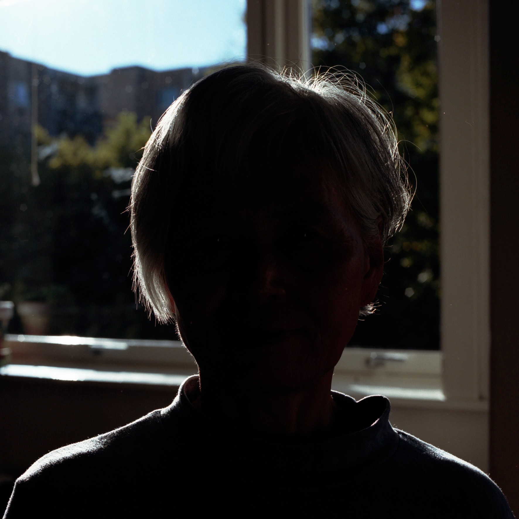 Mørke portrett (2010) — Josephine Lindstrøm
