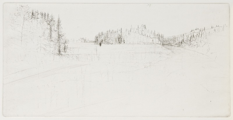 skog.myr.elv (2000) — Guttorm Guttormsgaard