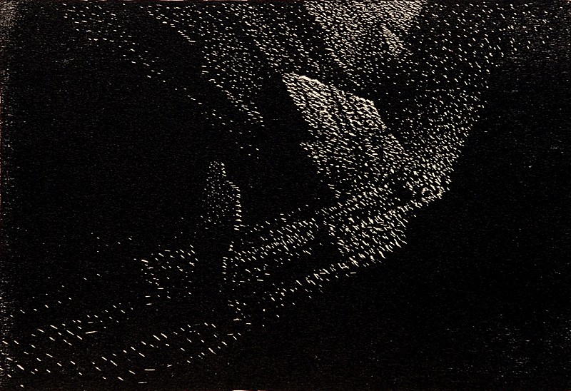 Figur 1 (2009) — Yngve Næsheim