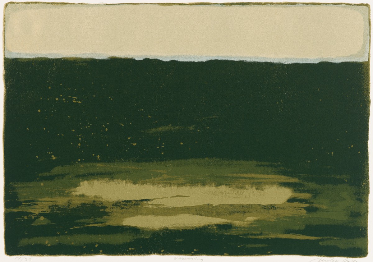 Skumring (2011) — Anders Kjær