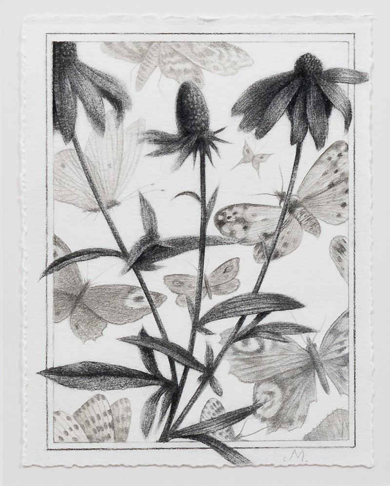 Tales from the hollow log (2010) — Sverre Malling