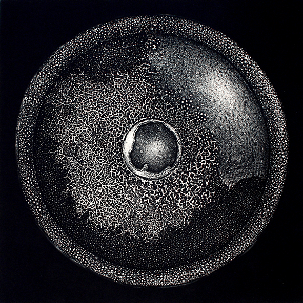 Metamorphosis (2006) — Astrid McGarrighan
