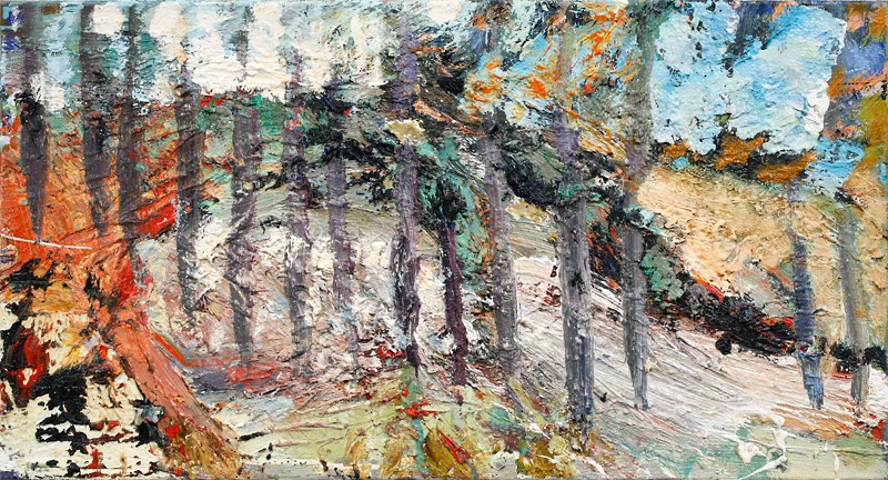 Skogsoverblikk (2008) — Jens Hamran