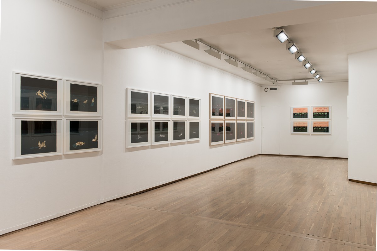 Oversiktsbilde fra utstillingen (2013) — Øivind Brune