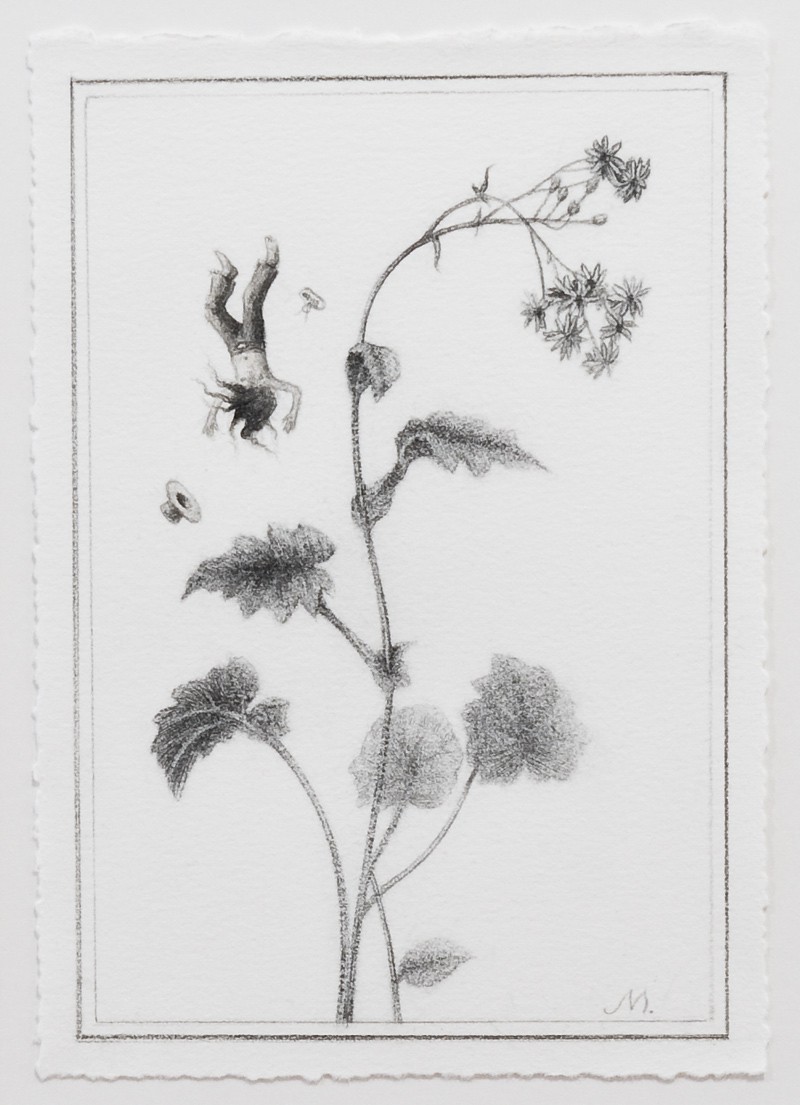 Tales from the hollow log (2010) — Sverre Malling