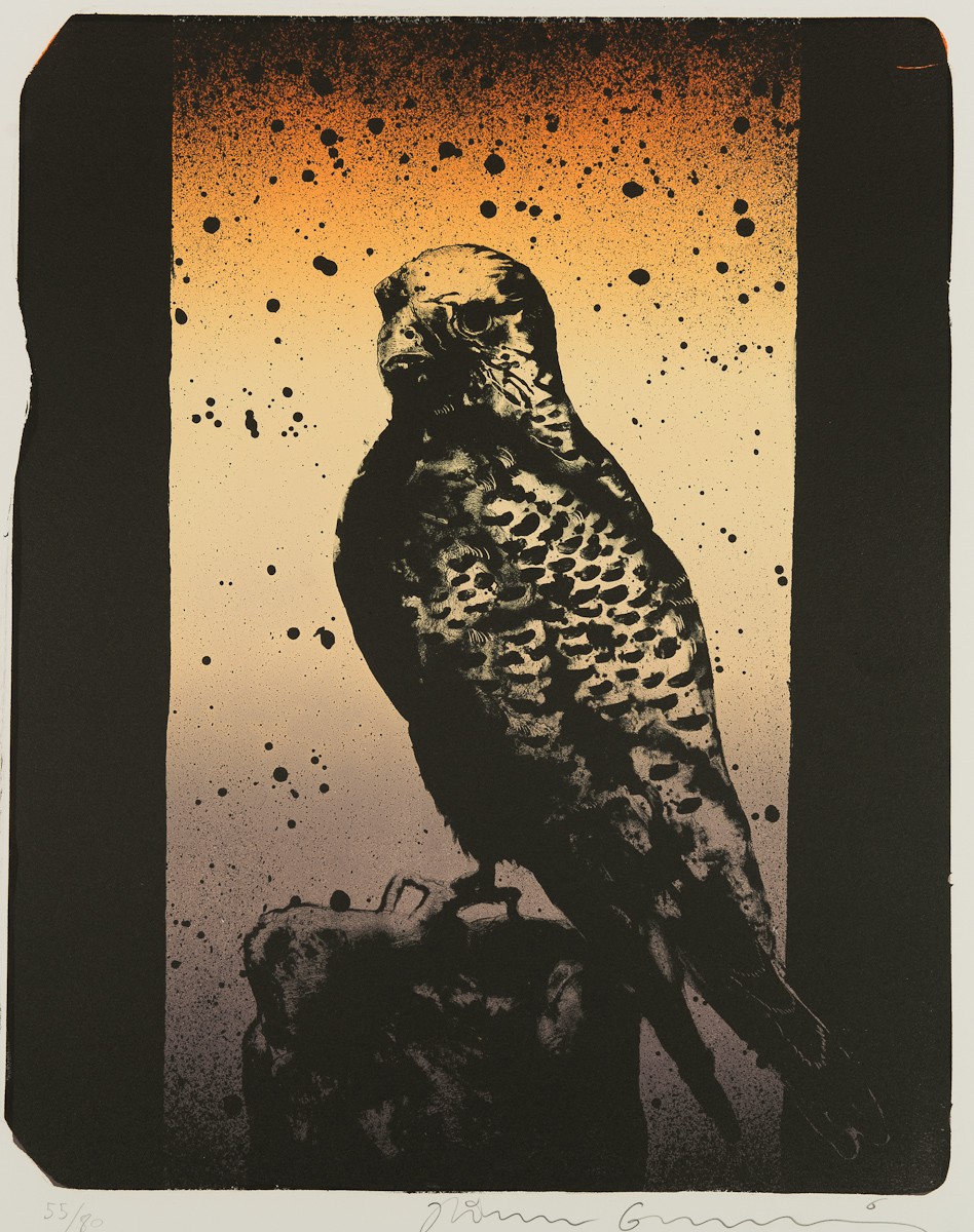 Falk (2011) — Håkon Gullvåg