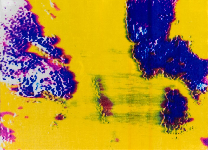 Mountain of the Mind (2011) — Marianne Heske
