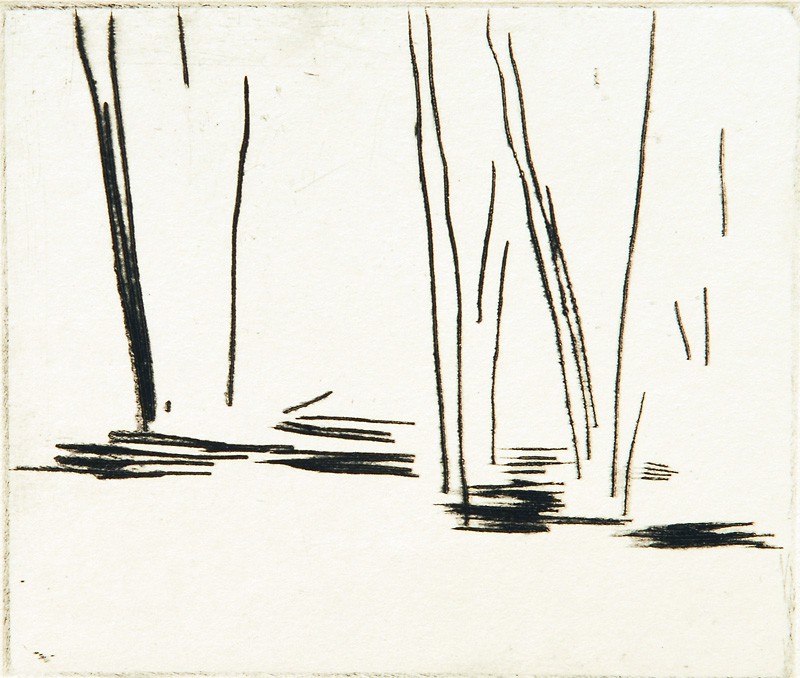 43 (2008) — Mari Krokann Berge