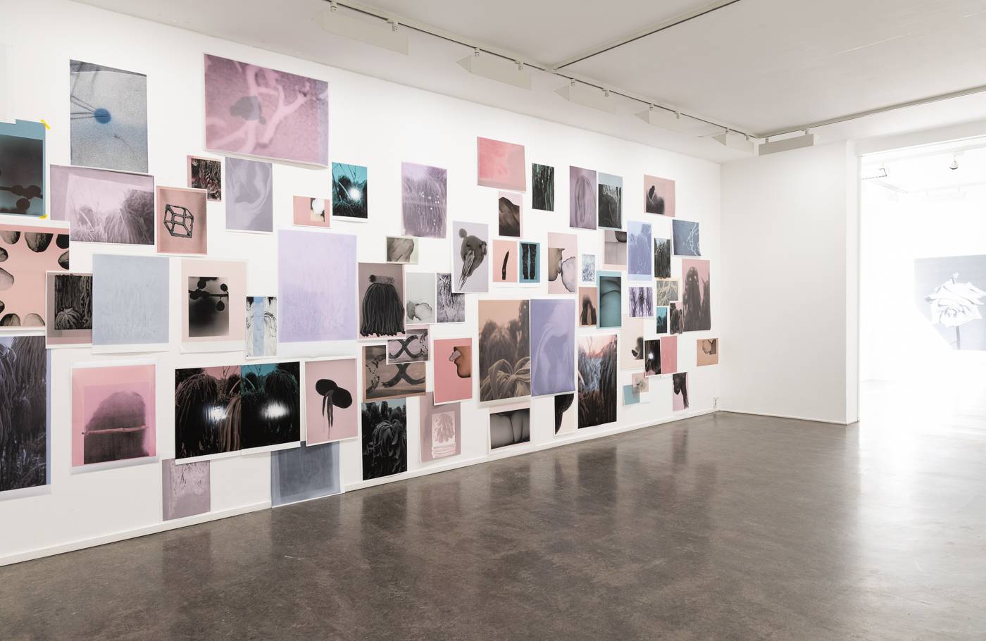 Installasjonsfoto fra utstillingen (2019) — Margareta Bergman