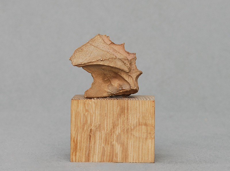 The inside of my hand (2008) — Germain Ngoma