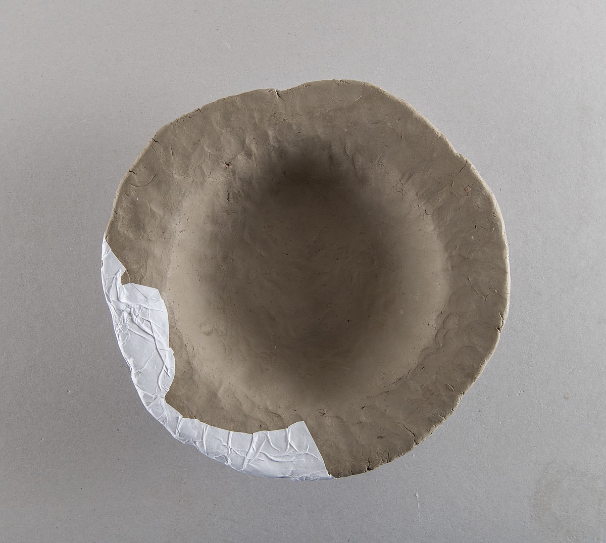 detalj av kat nr. 3 (2013) — Kjell Rylander