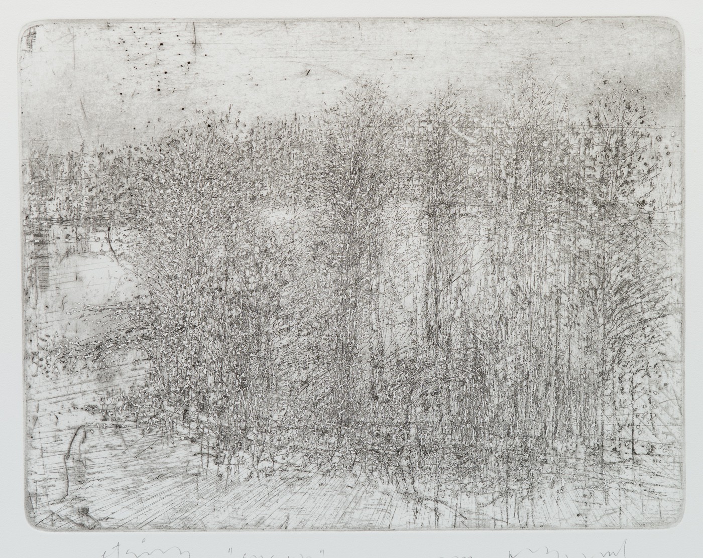 Snø yr (1999) — Guttorm Guttormsgaard