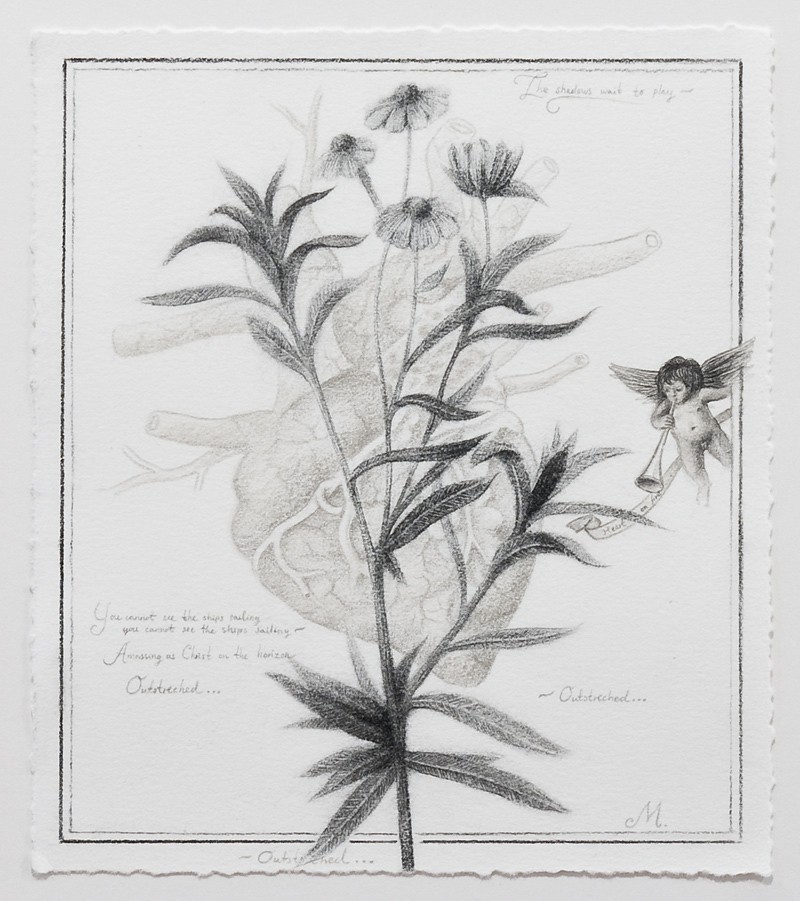 Tales from the hollow log (2010) — Sverre Malling