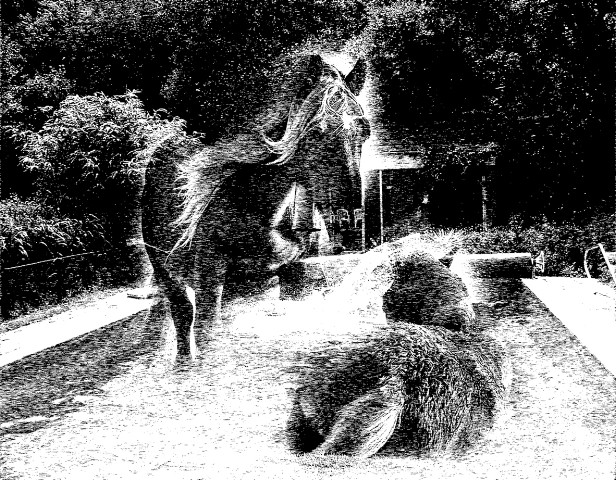 Awake in sleep (2009) — Liv Tandrevold Eriksen