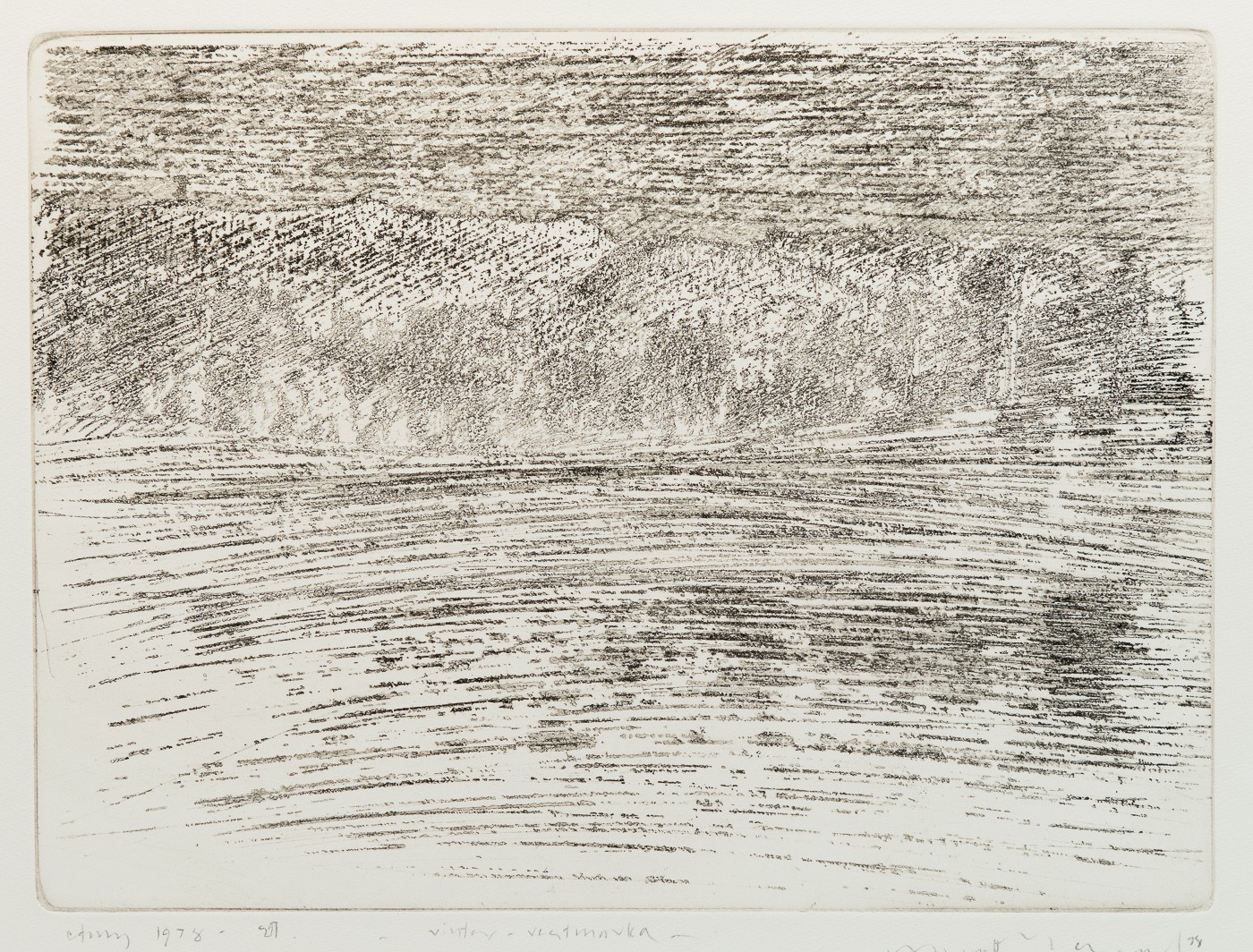 Vinter, Vestmarka (2010) — Guttorm Guttormsgaard