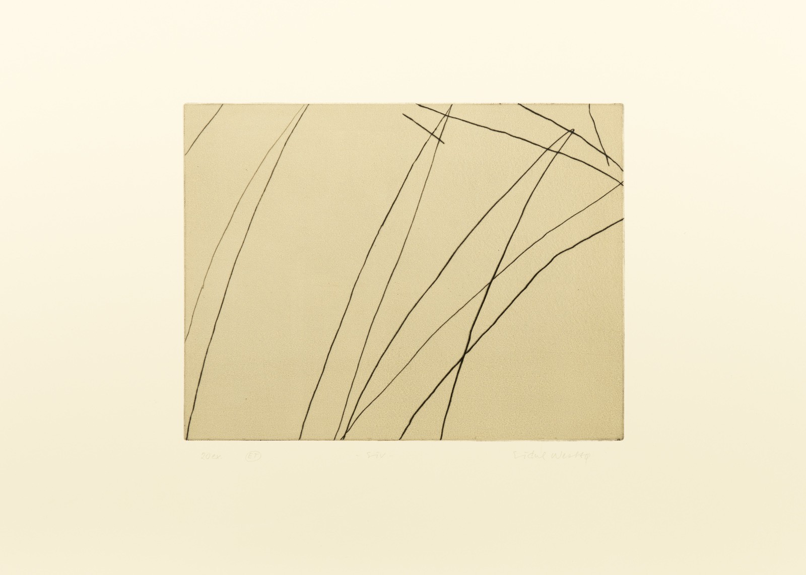Siv (2000) — Sidsel Westbø