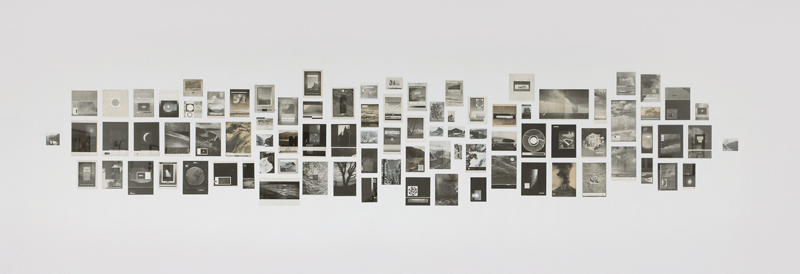 Natural History (2009) — Sofie Berntsen