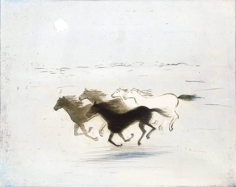 Villhester (2008) — Nina Due