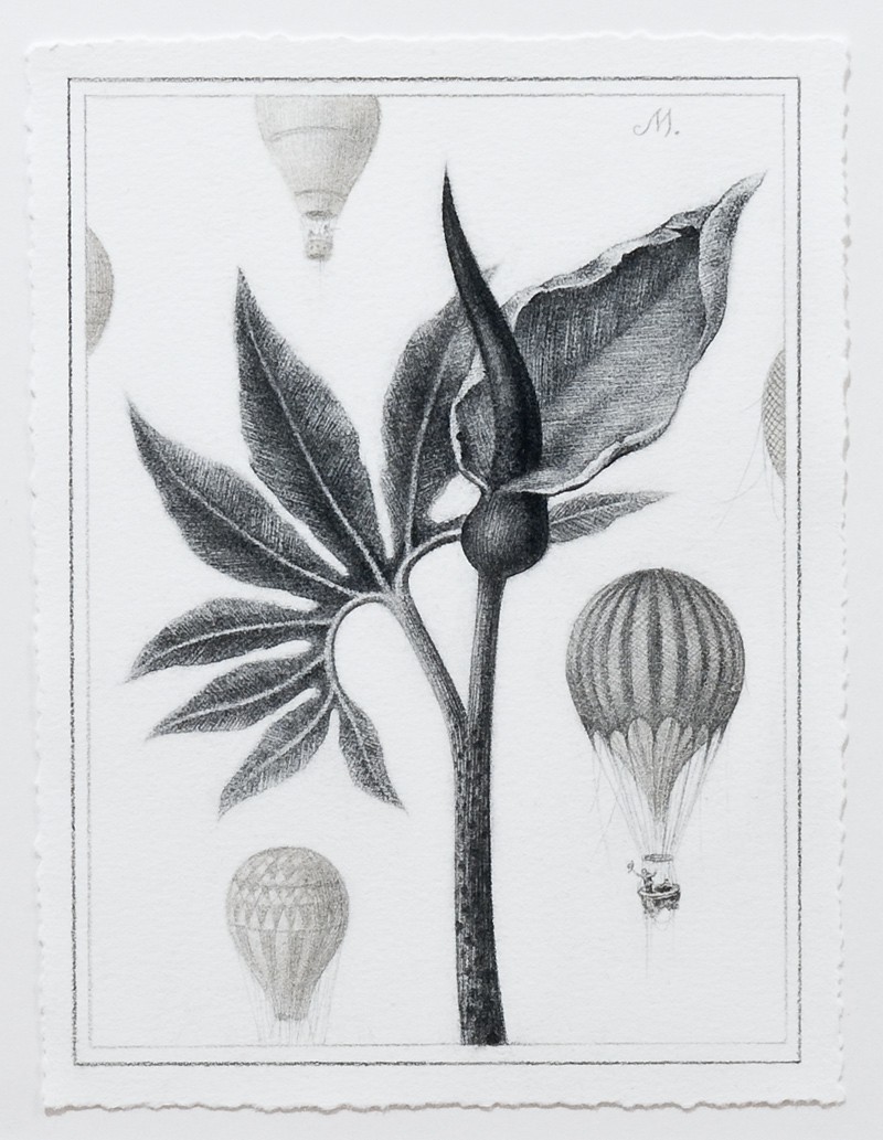 Tales from the hollow log (2010) — Sverre Malling