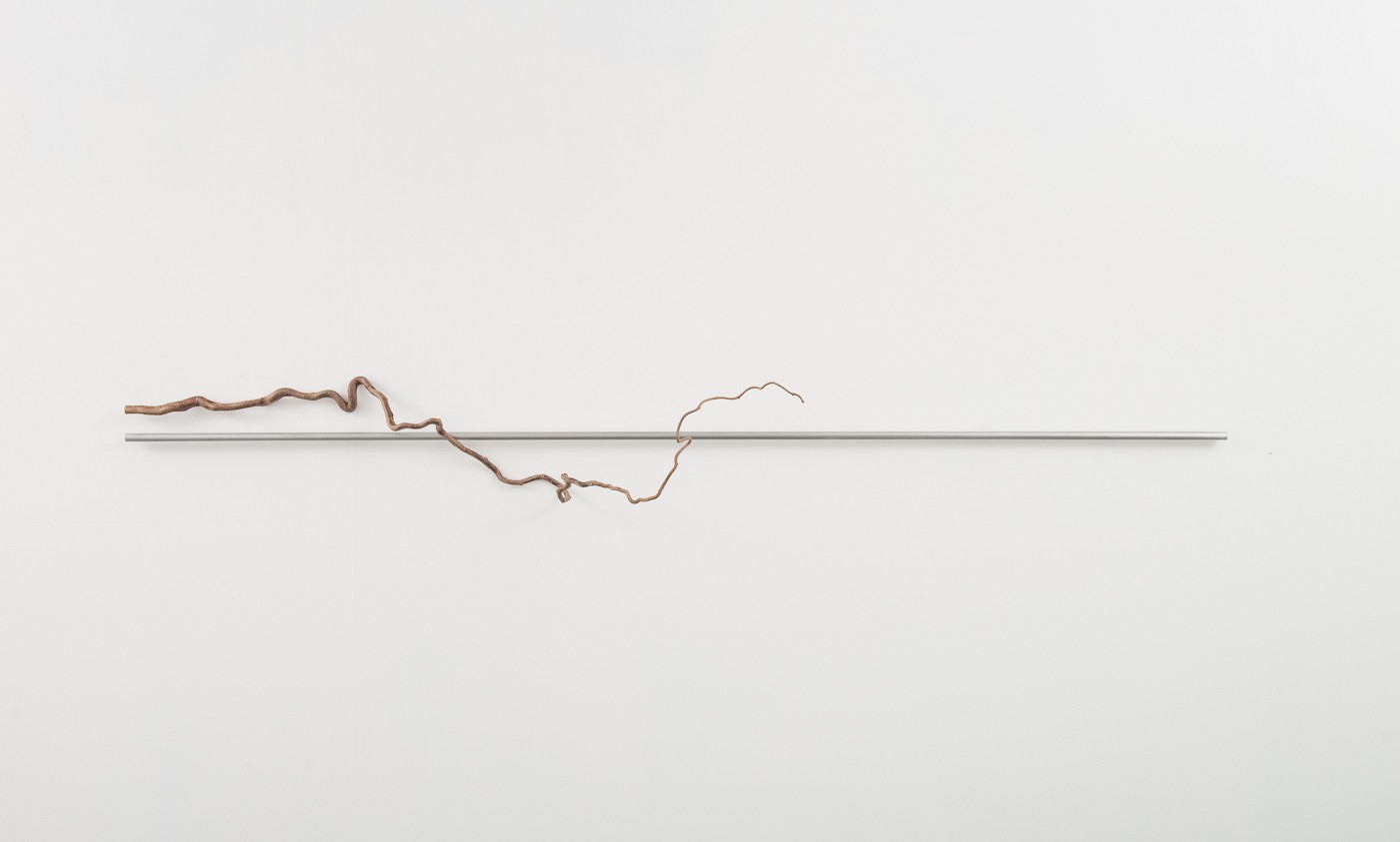 LINEAE (2011) — Terje Roalkvam