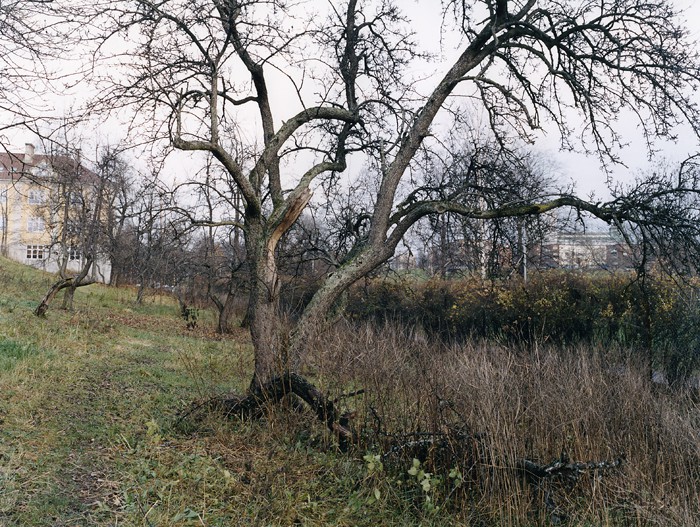 Torshovtoppen (2008) — Marte Aas