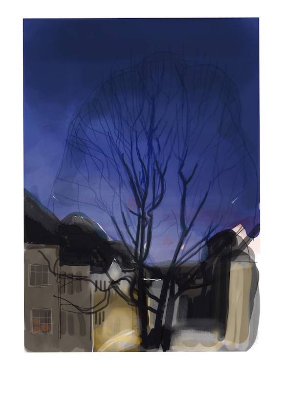 Blå morgen (2021) — Nina Due