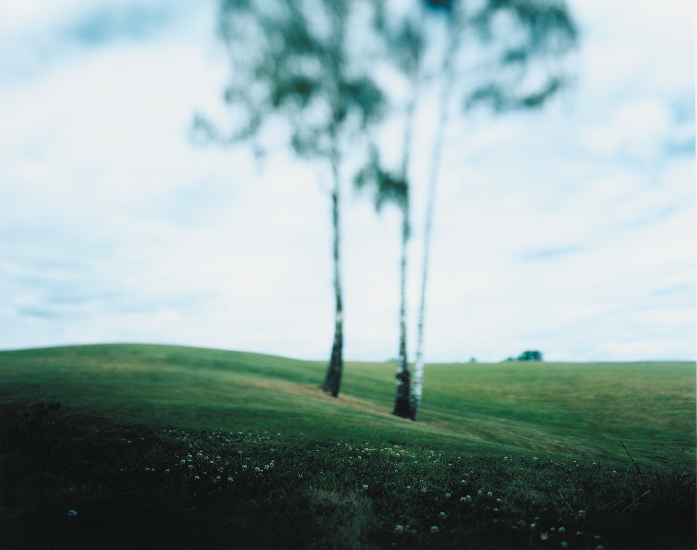 Green #3 (2007) — Jenny Rydhagen