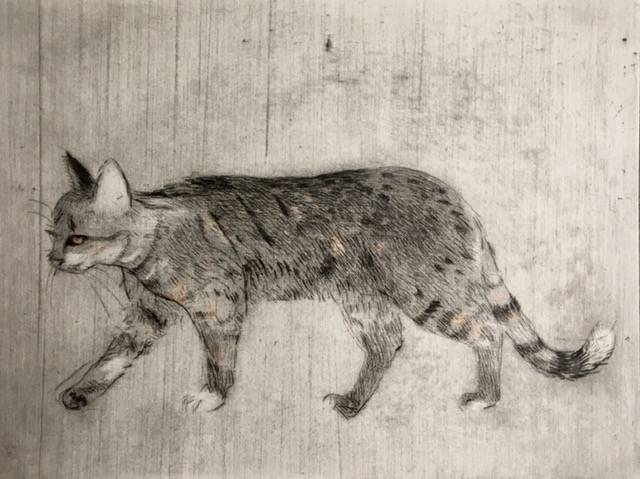 Katten (2019) — Nina Due