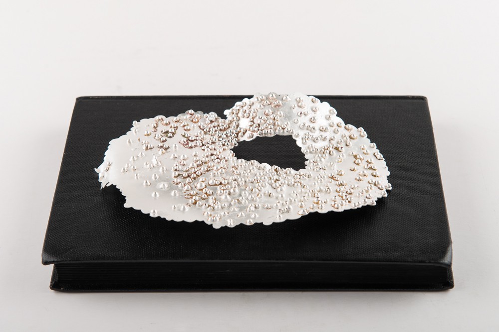 Skyfri himmel (2013) — Susanne Hjorth Joneid