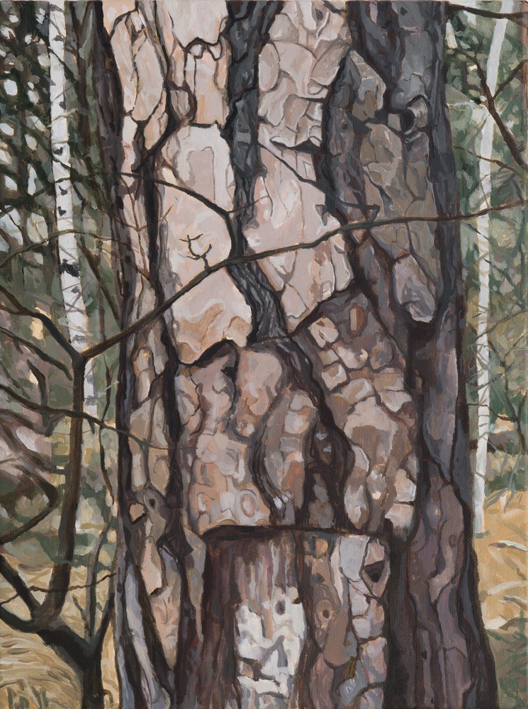 Veritas (2014) — Minna Hannele Lappalainen