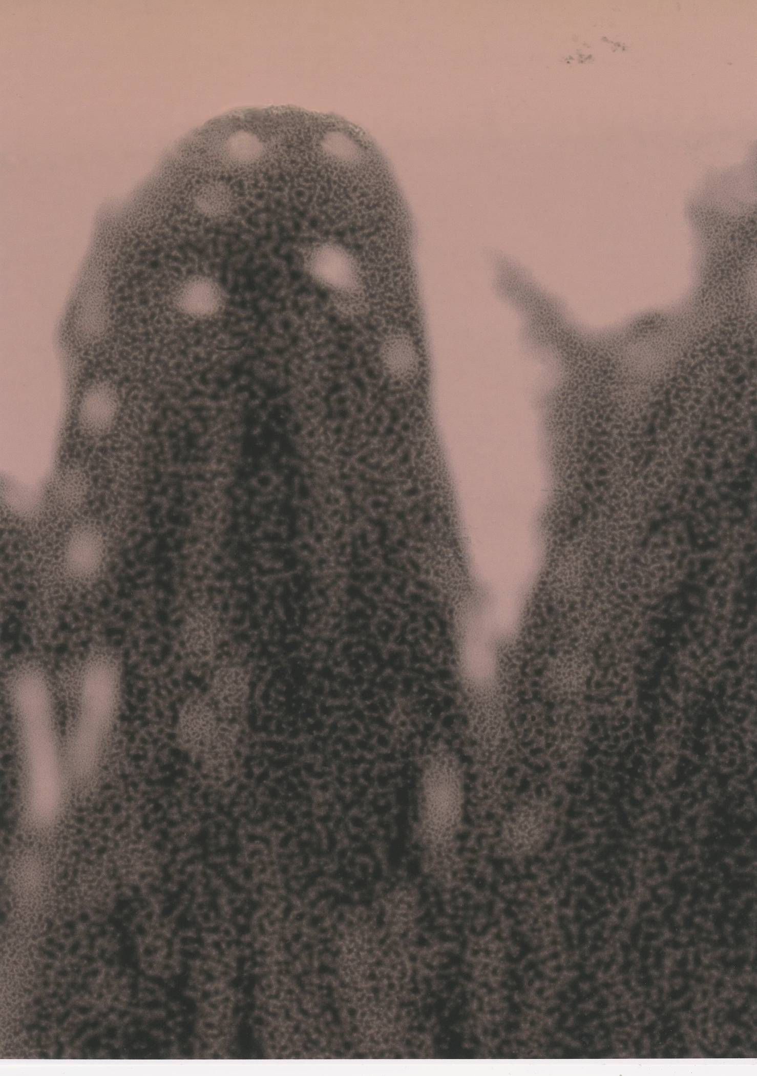 Oläsliga stenar (detalj) (2019) — Margareta Bergman