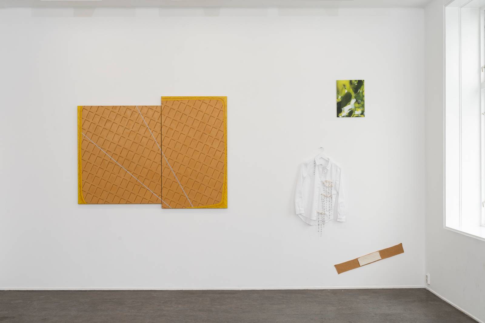 "Søvnbuk", "Punktert grønn" og "Hun skar av seg skyggen" (2024) — Hanne Nielsen