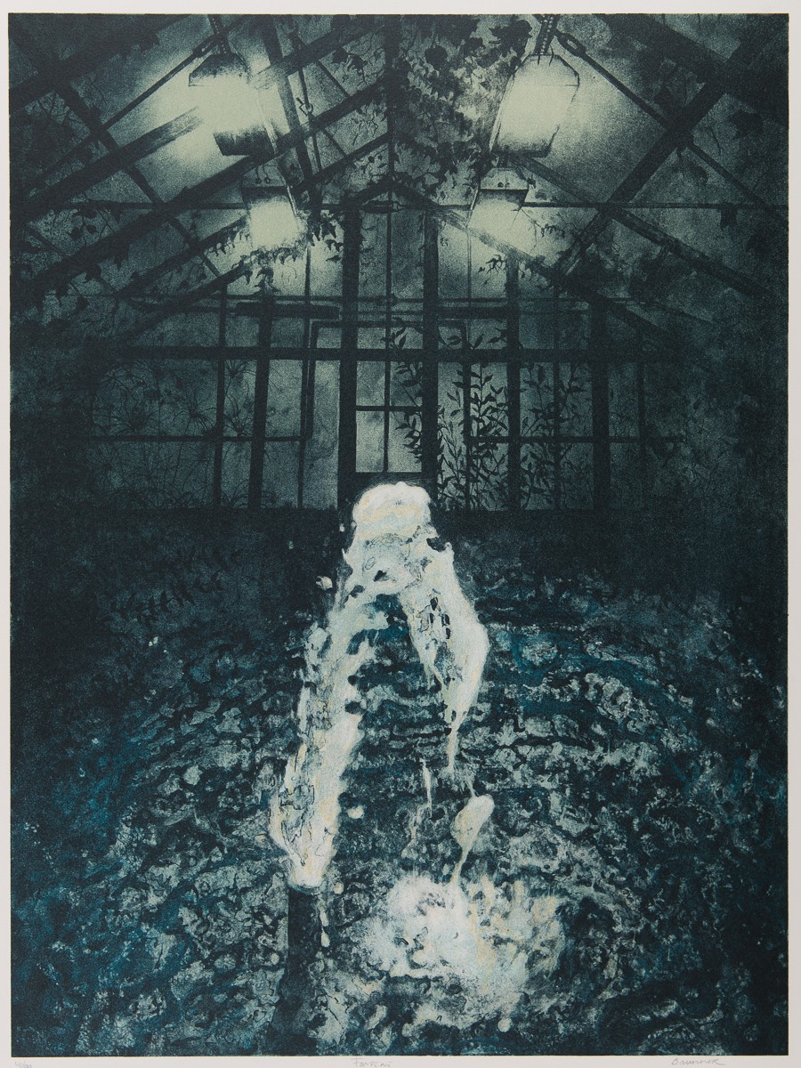 Fontene (2013) — Frank Brunner