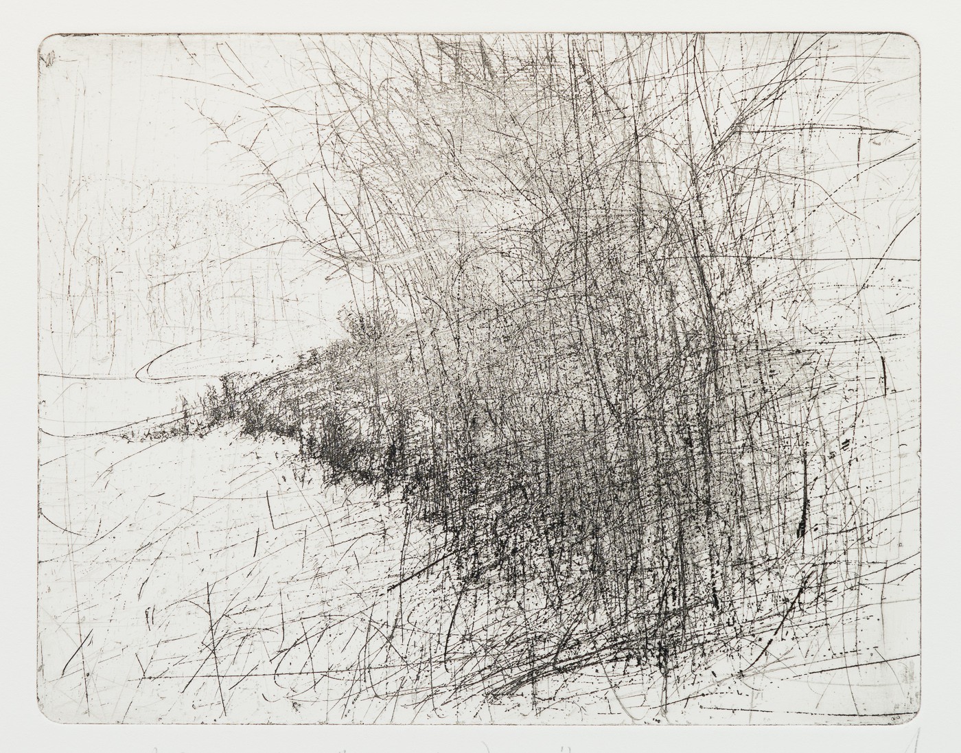 Langs jordet (1999) — Guttorm Guttormsgaard