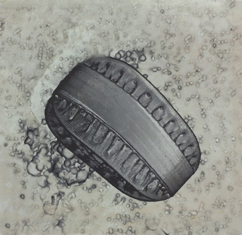 Diatome I (2010) — Ellen Karin Mæhlum