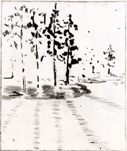 #19 (2005) — Mari Krokann Berge