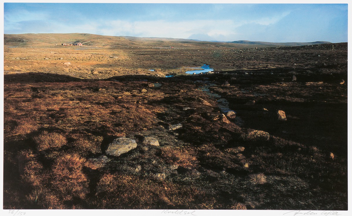 Kveldsol (2011) — Anders Kjær