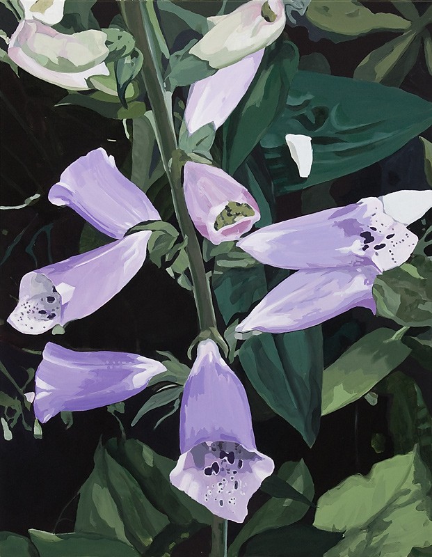 Each night brought something new. Digitalis II (2011) — Minna Hannele Lappalainen