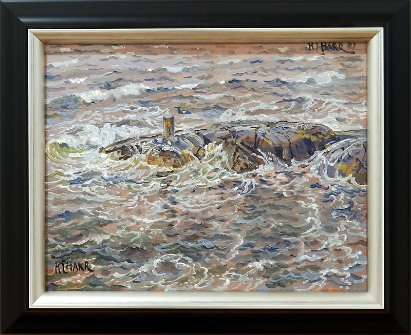 Opptrekkende uvær (2009) — Karl Erik Harr