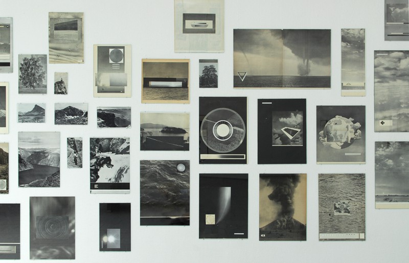 Natural History (2009) — Sofie Berntsen