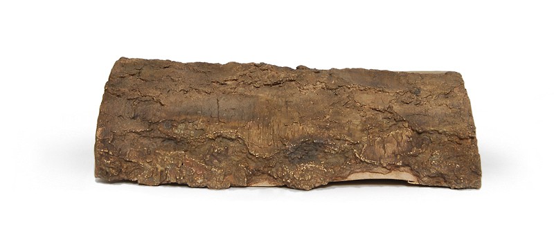 Bjørk vedkubbe (2008) — Jon Gundersen