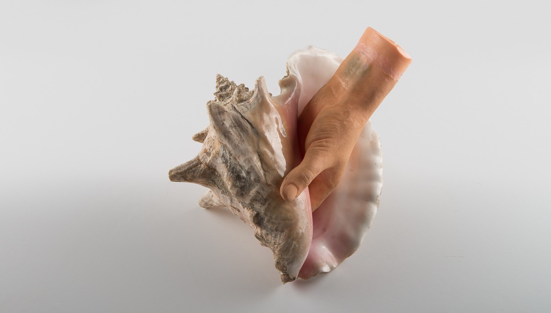 Konkylie (2014) — Jon Gundersen