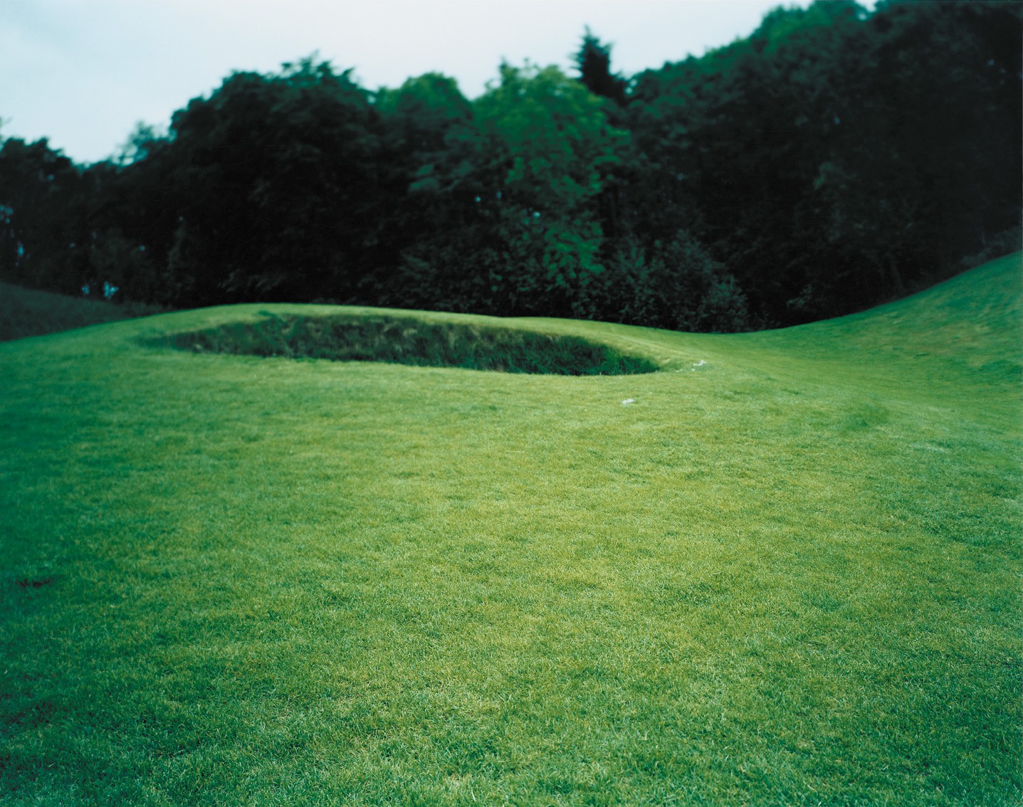 Green # 1 (2007) — Jenny Rydhagen