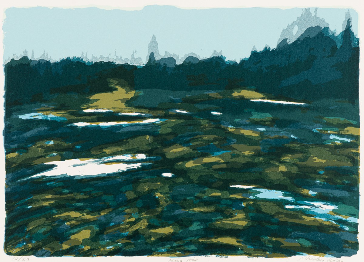 Mørk vår (2011) — Anders Kjær