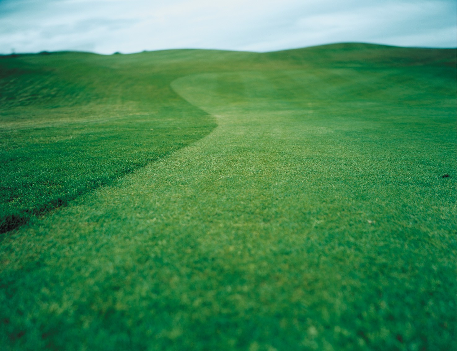 Green #4 (2007) — Jenny Rydhagen