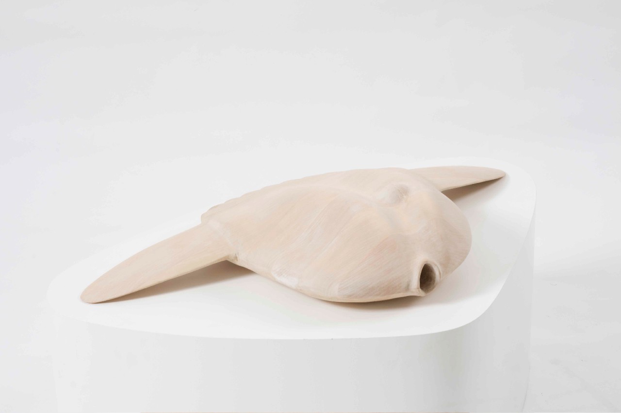 Sleep (2009) — Petter Hepsø