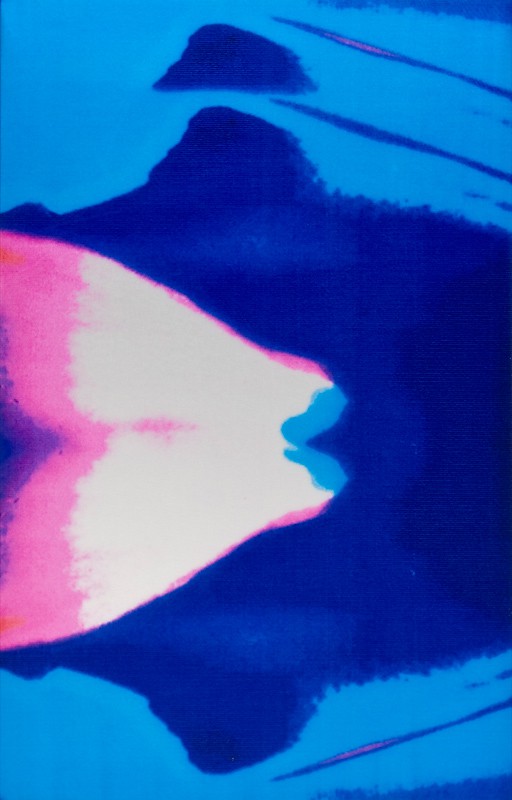 Mountain of the Mind (2011) — Marianne Heske